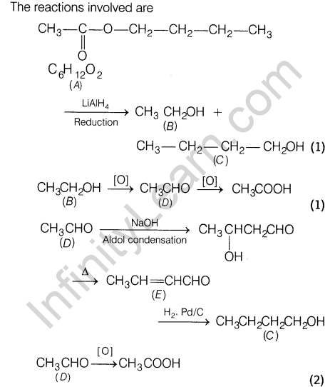 cbse-sample-papers-for-class-12-sa2-chemistry-solved-2016-set-2-48