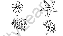 CBSE Sample Papers for Class 9 SA2 Science Solved 2016 Set 3-12jpg_Page1