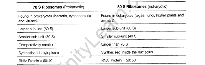 cbse-sample-papers-for-class-11-biology-solved-2016-set-3-15