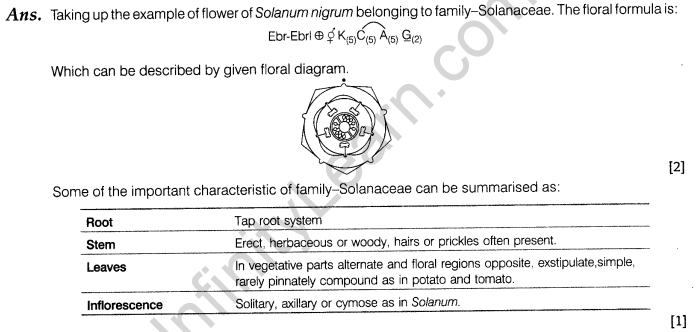 cbse-sample-papers-for-class-11-biology-solved-2016-set-2-10