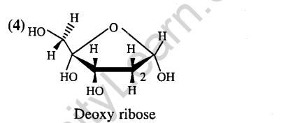 jee-main-previous-year-papers-questions-with-solutions-chemistry-biomolecules-and-polymers-21