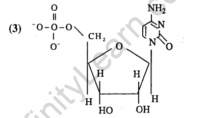 jee-main-previous-year-papers-questions-with-solutions-chemistry-biomolecules-and-polymers-8