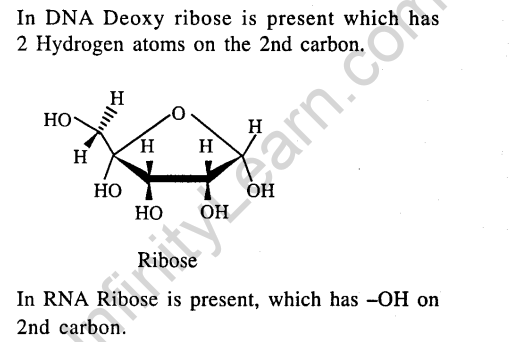 jee-main-previous-year-papers-questions-with-solutions-chemistry-biomolecules-and-polymers-21-1