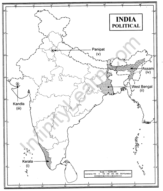 cbse-class-12-geography-sample-paper-solutions-set-11-2