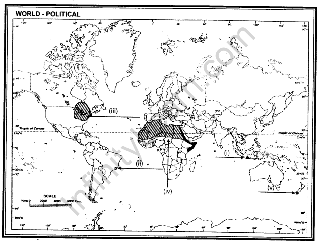 cbse-class-12-geography-sample-paper-with-solutions-set-6-2