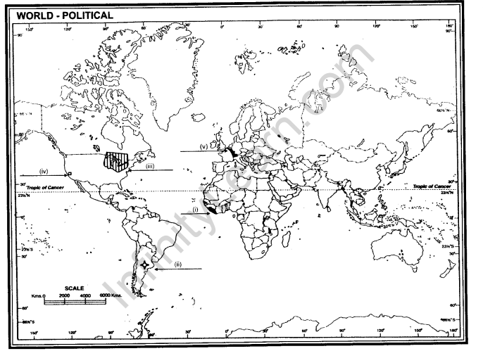 CBSE Class 12 Geography Sample Paper With Solutions Set 7 - Infinity ...