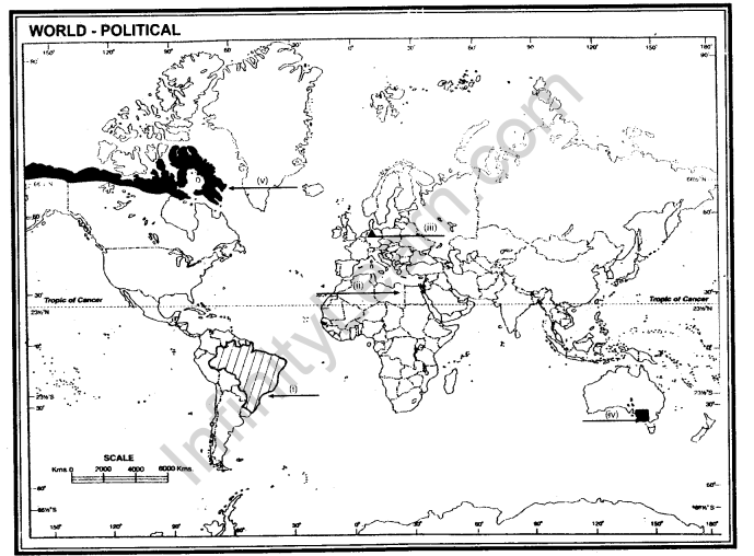 cbse-class-12-geography-sample-paper-solutions-set-8-2