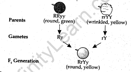 cbse-previous-year-question-papers-class-10-science-sa2-delhi-2014-25