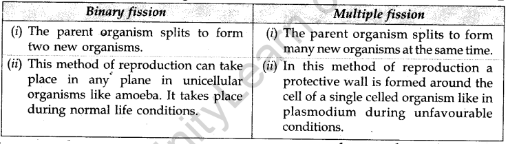 cbse-previous-year-question-papers-class-10-science-sa2-delhi-2011-3