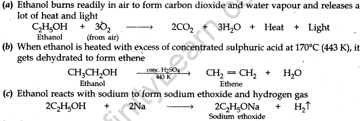 cbse-previous-year-question-papers-class-10-science-sa2-delhi-2013-22