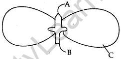 cbse-previous-year-question-papers-class-10-science-sa2-delhi-2013-14