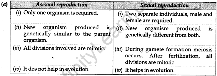 cbse-previous-year-question-papers-class-10-science-sa2-delhi-2013-7