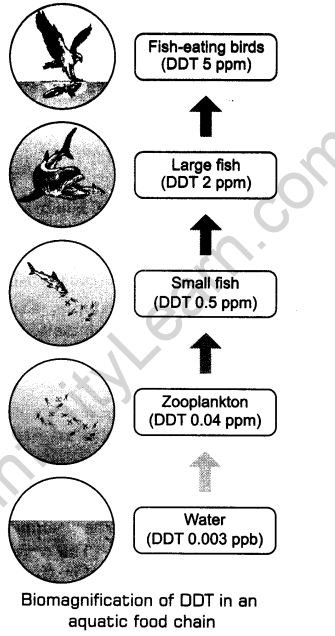 environmental-issues-cbse-notes-class-12-biology-4