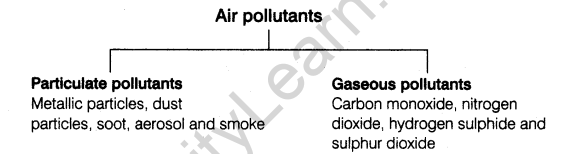 environmental-issues-cbse-notes-class-12-biology-1