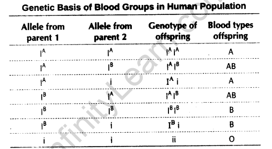 principles-of-inheritance-and-variation-cbse-notes-for-class-12-biology-5