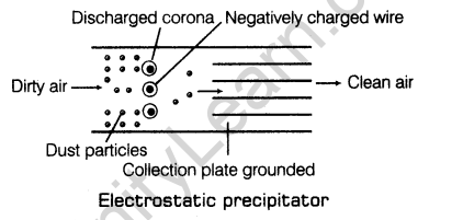 environmental-issues-cbse-notes-class-12-biology-2