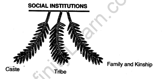 social-institutions-continuity-change-cbse-notes-class-12-sociology-1