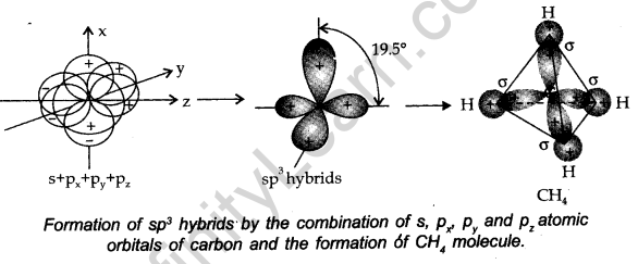 chemical-bonding-and-molecular-structure-cbse-notes-for-class-11-chemistry-32