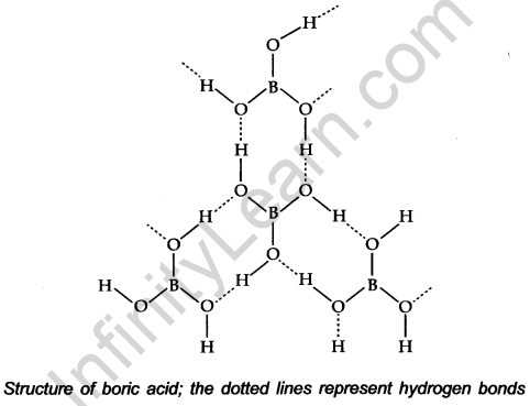 the-p-block-elements-cbse-notes-for-class-11-chemistry-3