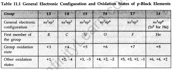 the-p-block-elements-cbse-notes-for-class-11-chemistry-1