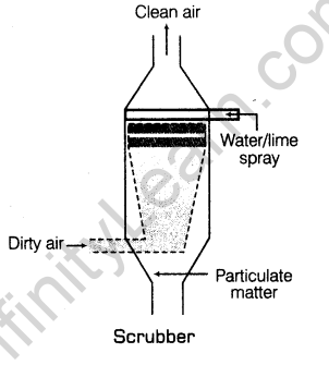 environmental-issues-cbse-notes-class-12-biology-3