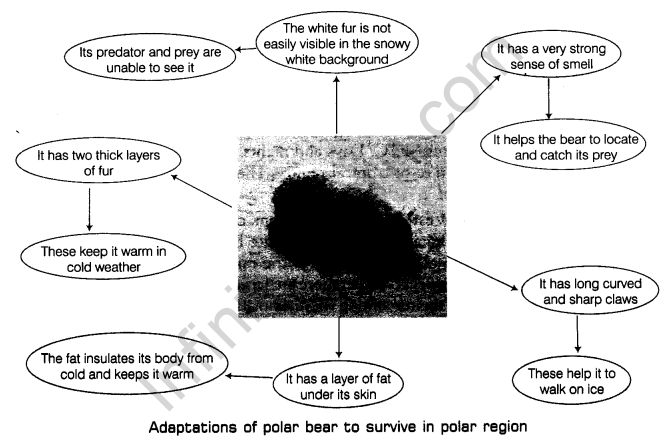 Physical and Chemical Changes Class 7 Notes Science Chapter 6 1