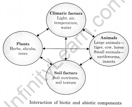 The Living Organisms and Their Surroundings Class 6 Notes Science Chapter 9 4