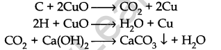 organic-chemistry-some-basic-principles-and-techniques-cbse-notes-for-class-11-chemistry-24