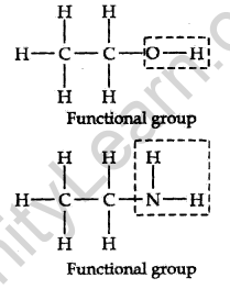 organic-chemistry-some-basic-principles-and-techniques-cbse-notes-for-class-11-chemistry-1