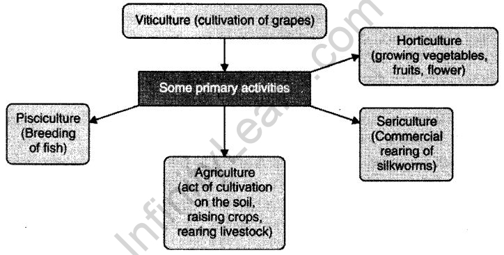 agriculture-cbse-notes-for-class-8-social-1
