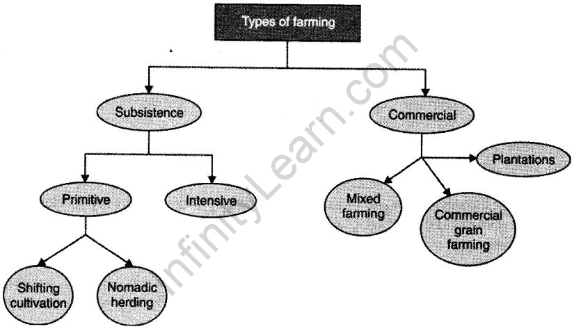 agriculture-cbse-notes-for-class-8-social-2