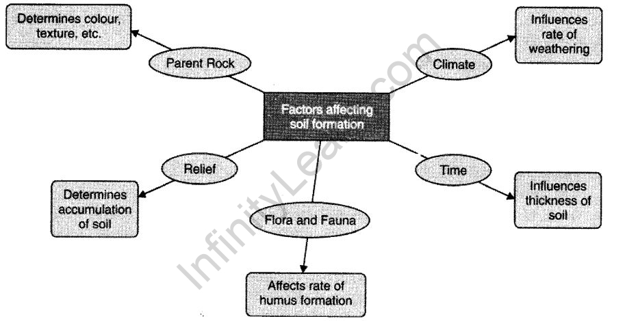 Natural Vegetation And Wildlife Class 8 Quiz