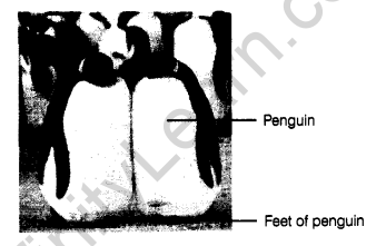 Physical and Chemical Changes Class 7 Notes Science Chapter 6 2