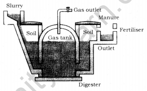 Sources of Energy Class 10 Notes Science Chapter 14 4