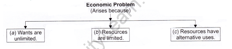 Introduction to Economics – CBSE Notes for Class 12 Micro Economics 1