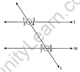 Lines and Angles Class 7 Notes Maths Chapter 5 10