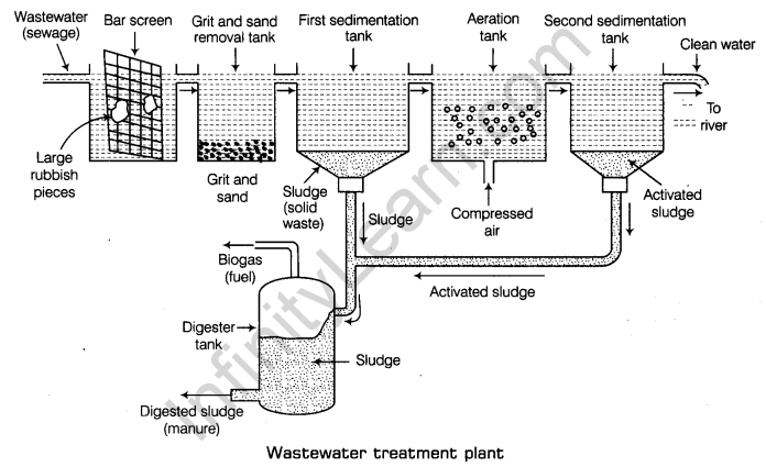 Waste Water Story Class 7 Notes Science Chapter 18 1