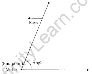 Lines and Angles Class 7 Notes Maths Chapter 5 5