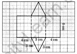 Visualising Solid Shapes NCERT Extra Questions for Class 8 Maths Q8