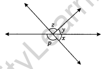 Lines and Angles Class 7 Extra Questions Maths Chapter 5 Q13