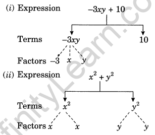Algebraic Expressions Class 7 Extra Questions Maths Chapter 12 Q5
