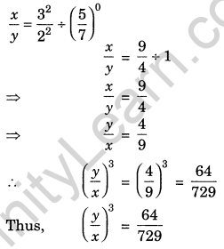 Exponents and Powers Class 7 Extra Questions Maths Chapter 13 Q20.1