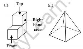 Visualising Solid Shapes Class 7 Extra Questions Maths Chapter 15 Q13