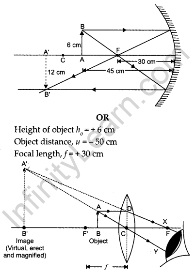 CBSE Previous Year Question Papers Class 10 Science 2019 Outside Delhi Set III Q16.1