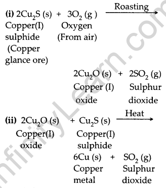 CBSE Previous Year Question Papers Class 10 Science 2019 Outside Delhi Set III Q10