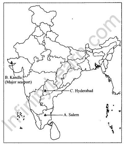 CBSE Previous Year Question Papers Class 10 Social Science 2017 Delhi Term 2 Q30