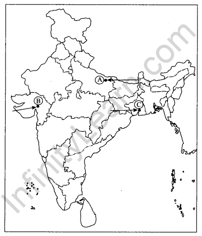 CBSE Previous Year Question Papers Class 10 Social Science 2017 Delhi Term 2 Q29