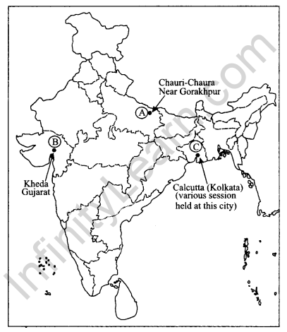 CBSE Previous Year Question Papers Class 10 Social Science 2017 Delhi Term 2 Q29.1