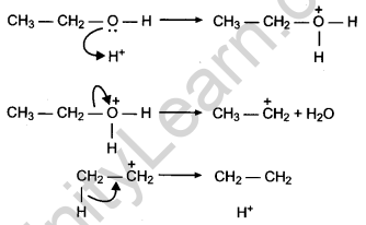 CBSE Previous Year Question Papers Class 12 Chemistry 2019 Delhi Set I Q26.3