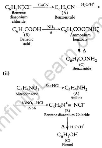 CBSE Previous Year Question Papers Class 12 Chemistry 2013 Delhi Set I Q24.1